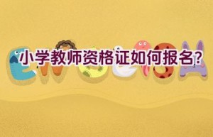 小学教师资格证如何报名？