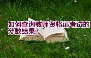 如何查询教师资格证考试的分数结果？