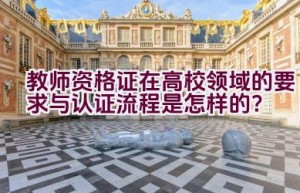 教师资格证在高校领域的要求与认证流程是怎样的？